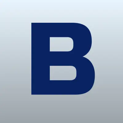 BRUSNIKA, магазин женской одежды, лого-визитка