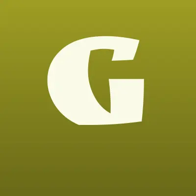 GSMSERVEICE.PRO, сервисный центр, лого-визитка
