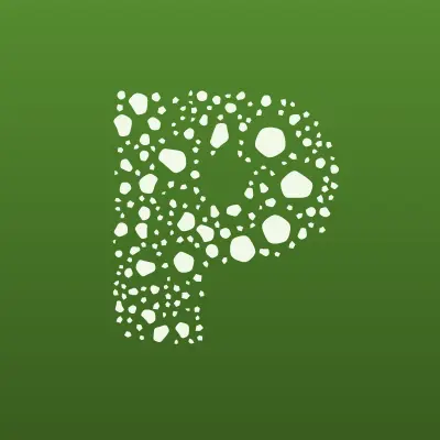 Powerchip_motors_26, тюнинг-ателье автомобилей, лого-визитка