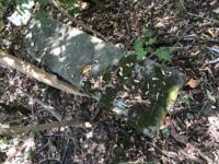 фото Еврейская община Геула отзыв