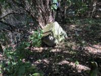 фото Еврейская община Геула отзыв