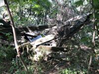 фото Еврейская община Геула отзыв