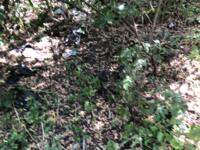 фото Еврейская община Геула отзыв